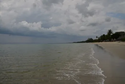 DSC_5428 (Large).JPG